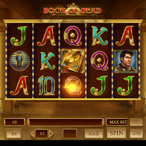 RainBet - Book of Dead Slot Game - Play'n GO Pokie