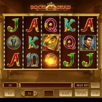 RainBet - Book of Dead Slot Game - Play'n GO Pokie