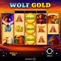 RainBet - Wolf Gold Slot Game - Pragmatic Play Pokie